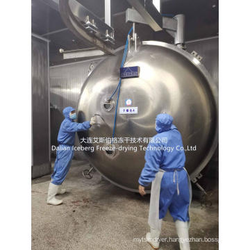 Fish Freeze Drying Equipment